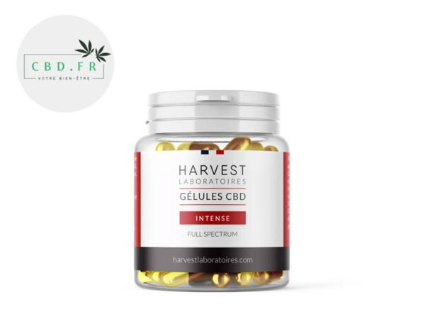 Gélules CBD (1500mg) Cure Intense 50% Harvest Laboratoires